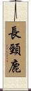 Giraffe Scroll