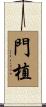 門植 Scroll