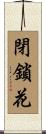 閉鎖花 Scroll