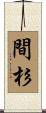 間杉 Scroll
