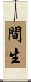 間生 Scroll