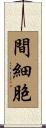 間細胞 Scroll