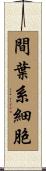 間葉系細胞 Scroll