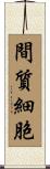 間質細胞 Scroll