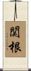 関根 Scroll