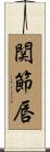 関節唇 Scroll
