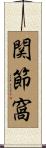 関節窩 Scroll