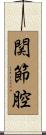 関節腔 Scroll