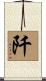 阡 Scroll
