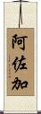 阿佐加 Scroll