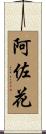 阿佐花 Scroll