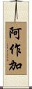 阿作加 Scroll