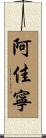 阿佳寧 Scroll