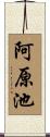 阿原池 Scroll