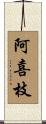 阿喜枝 Scroll