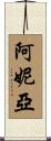 Anya Scroll
