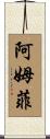 Amfi Scroll