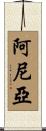 Aniah Scroll