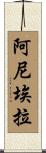 Aniela Scroll