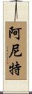 Anit Scroll
