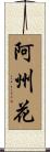 阿州花 Scroll