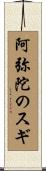 阿弥陀のスギ Scroll