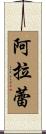Alara Scroll