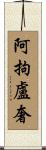 阿拘盧奢 Scroll