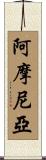 阿摩尼亞 Scroll