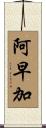 阿早加 Scroll