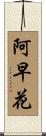 阿早花 Scroll