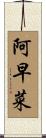 阿早菜 Scroll
