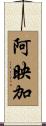 阿映加 Scroll