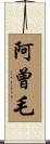 阿曾毛 Scroll