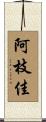 阿枝佳 Scroll
