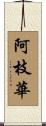 阿枝華 Scroll