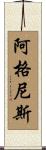 Agnese Scroll
