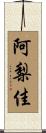 阿梨佳 Scroll
