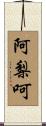 阿梨呵 Scroll