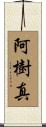 阿樹真 Scroll