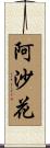 阿沙花 Scroll