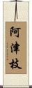 阿津枝 Scroll