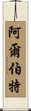 Albert Scroll