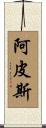 Apis Scroll