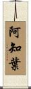 阿知葉 Scroll