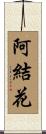 阿結花 Scroll