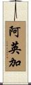 阿英加 Scroll
