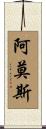 Amos Scroll