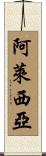 Alecia Scroll