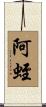 阿蛭 Scroll
